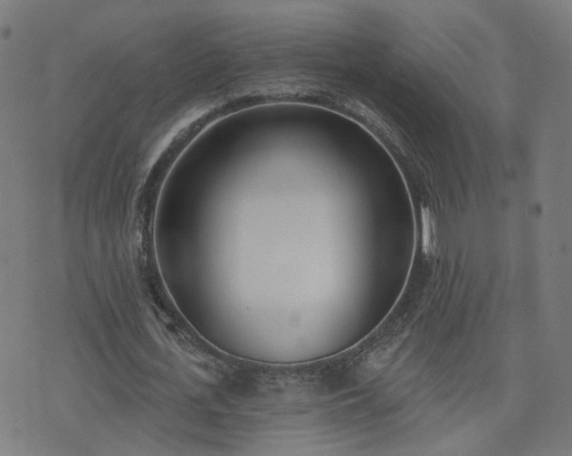 X0000072490723200607211223