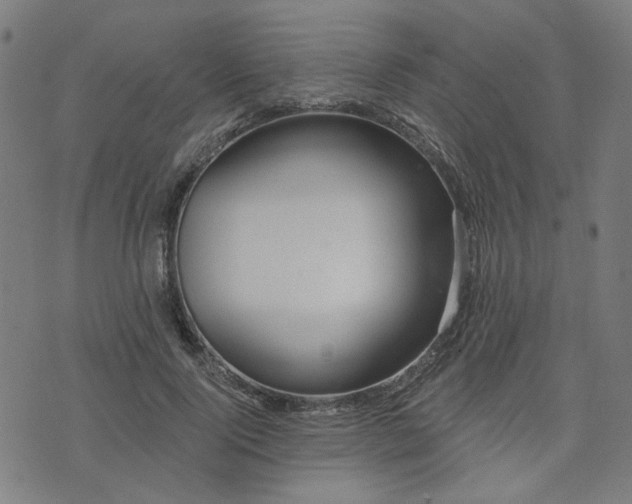 X0000072490740200607211223