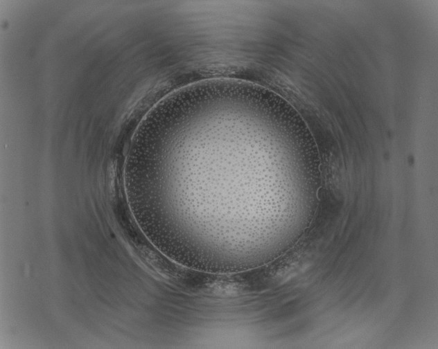 X0000072490742200607211223