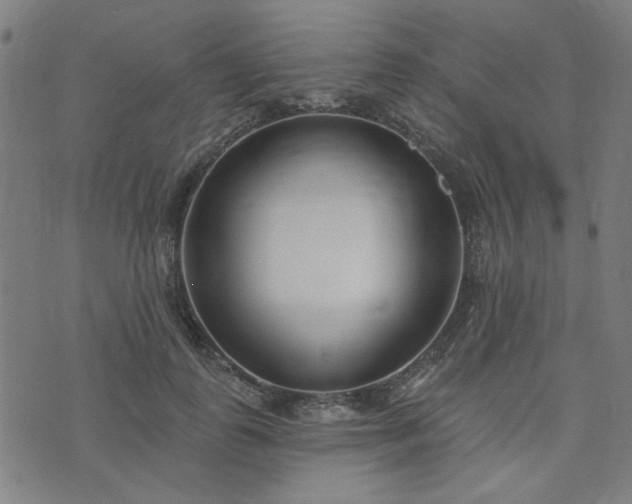 X0000072490747200607211223