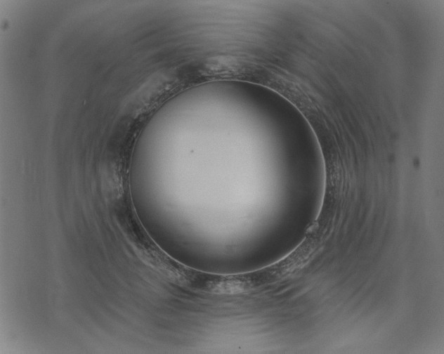 X0000072490751200607211224