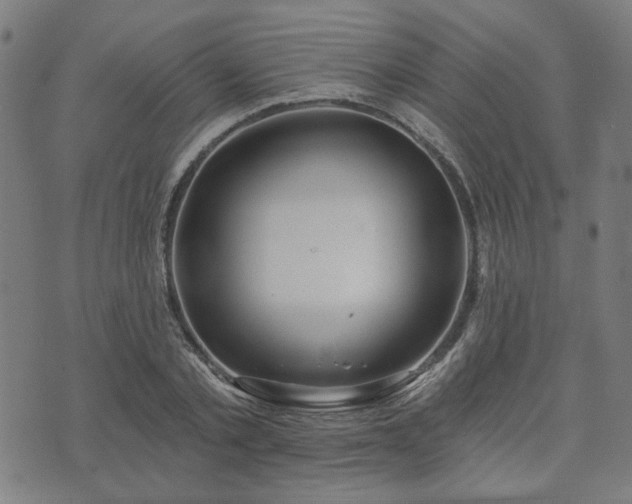 X0000072490789200607211223