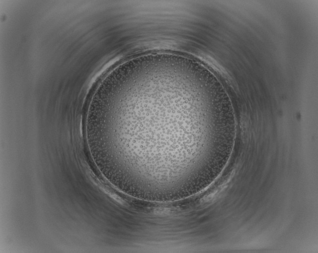 X0000072490790200607211223
