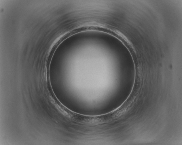 X0000072490791200607211223