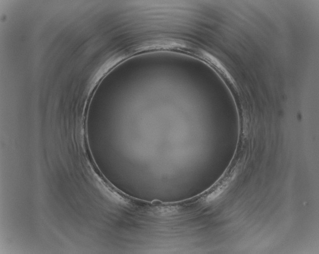 X0000072490802200607211222