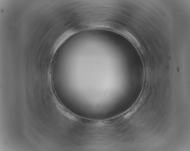 X0000072490814200607211222
