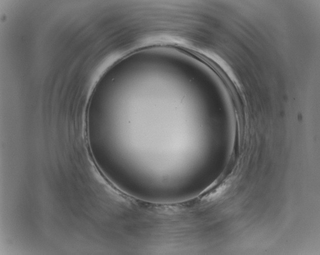 X0000072490815200607211222