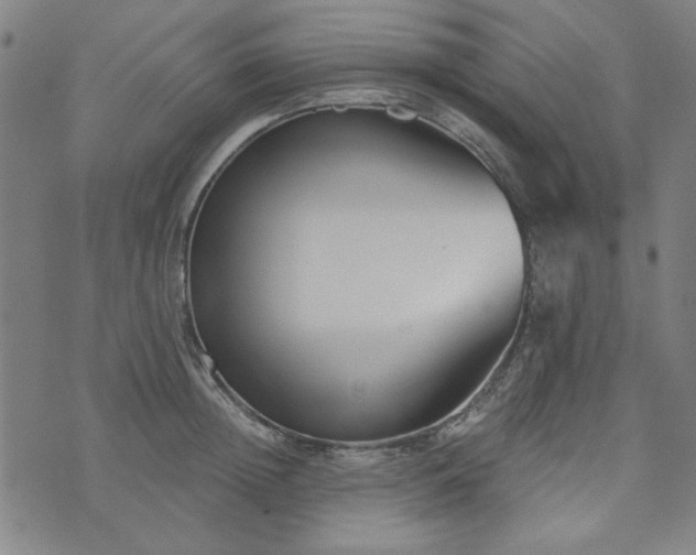 X0000072490852200607211222