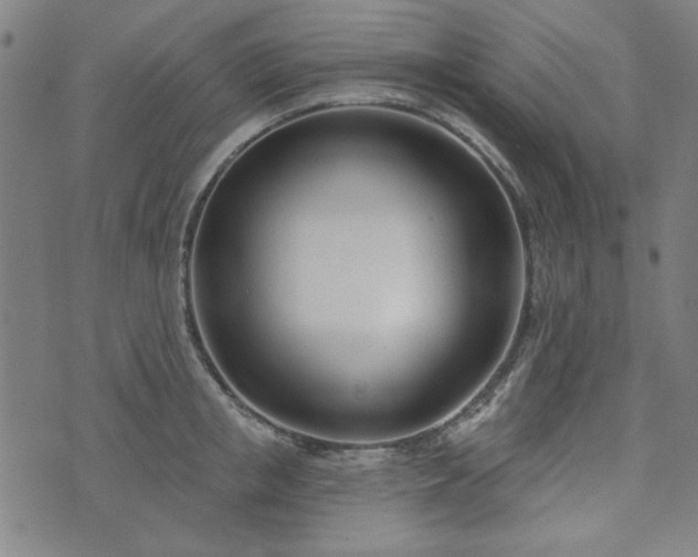 X0000072490853200607211222