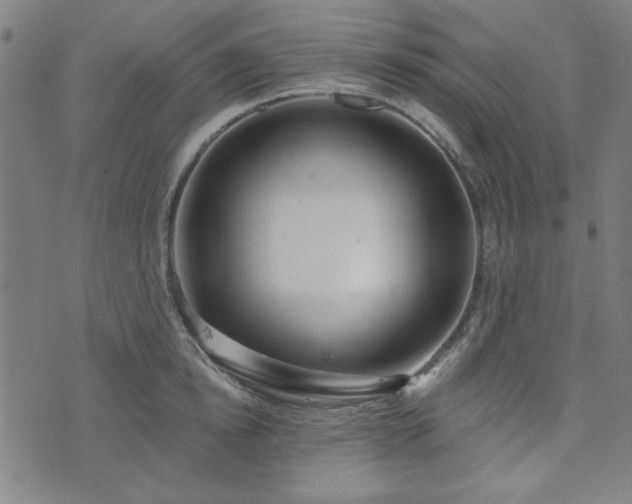X0000072490854200607211222