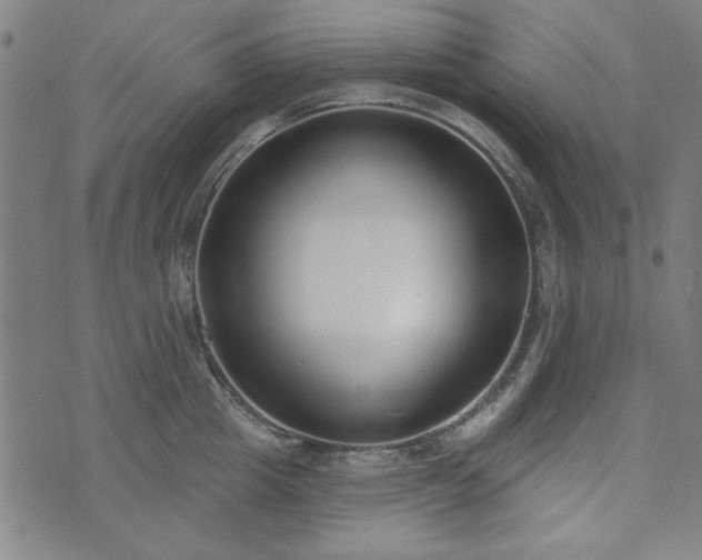 X0000072490857200607211222