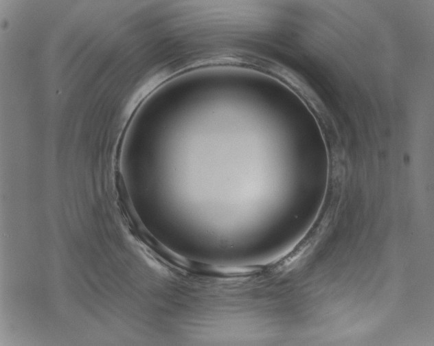 X0000072490858200607211222
