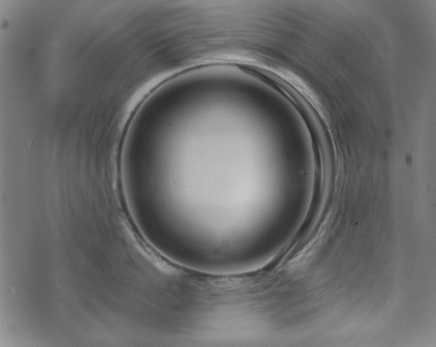 X0000072490862200607211222