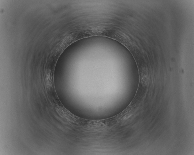 X0000072490866200607211221