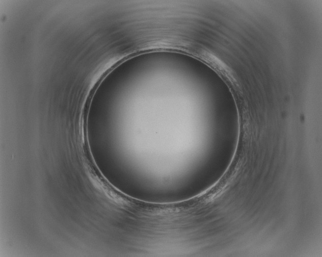 X0000072490892200607211221