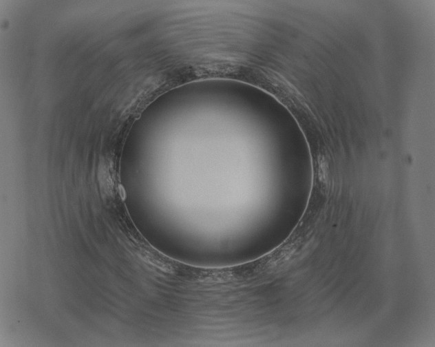 X0000072490915200607211220