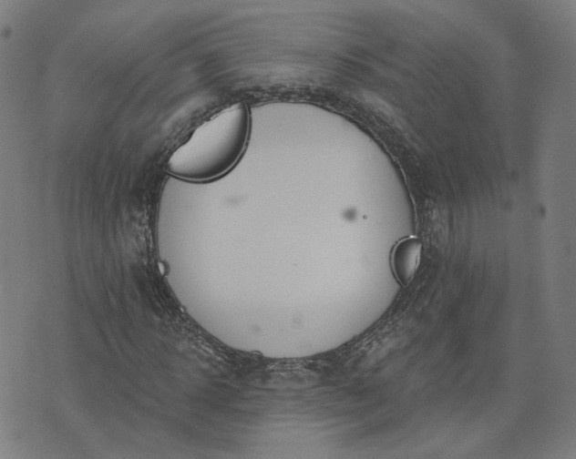 X0000072490918200607211220