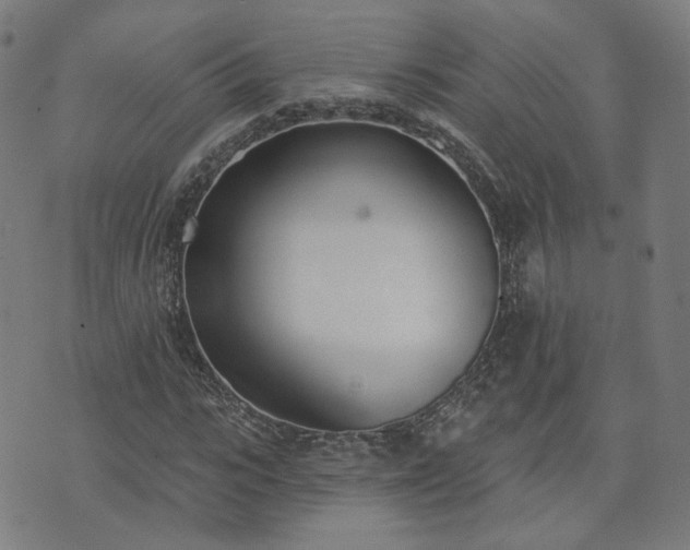 X0000072490919200607211220