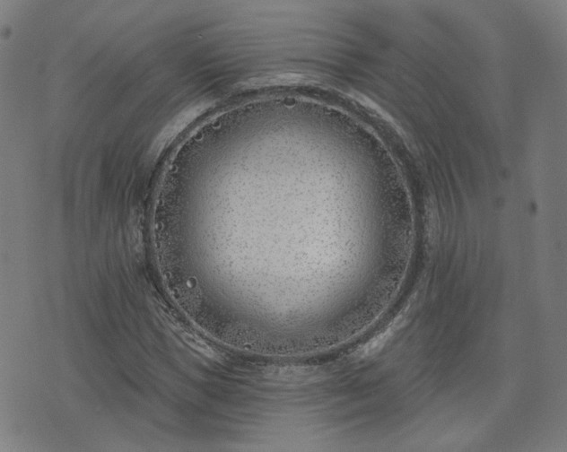 X0000072490921200607211220