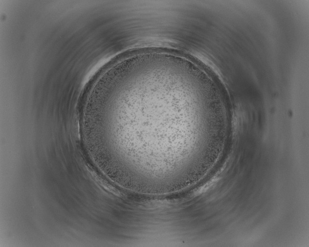 X0000072490925200607211220