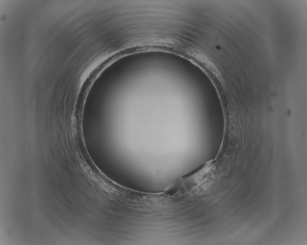 X0000072490928200607211220