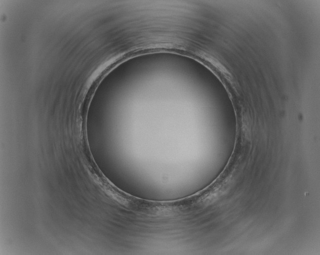 X0000072490933200607211220