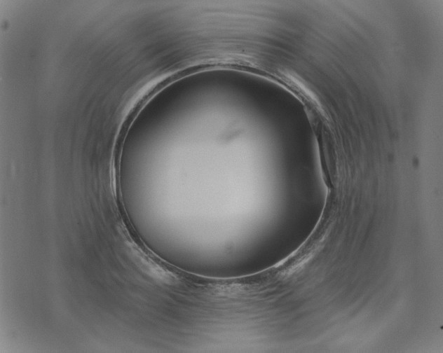 X0000072490940200607211220