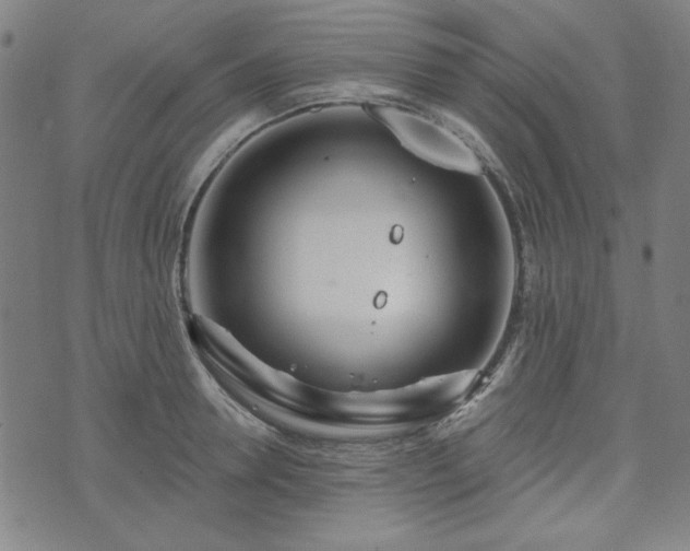 X0000072490946200607211220