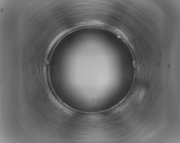 X0000072490947200607211220