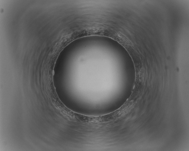 X0000072490961200607211220