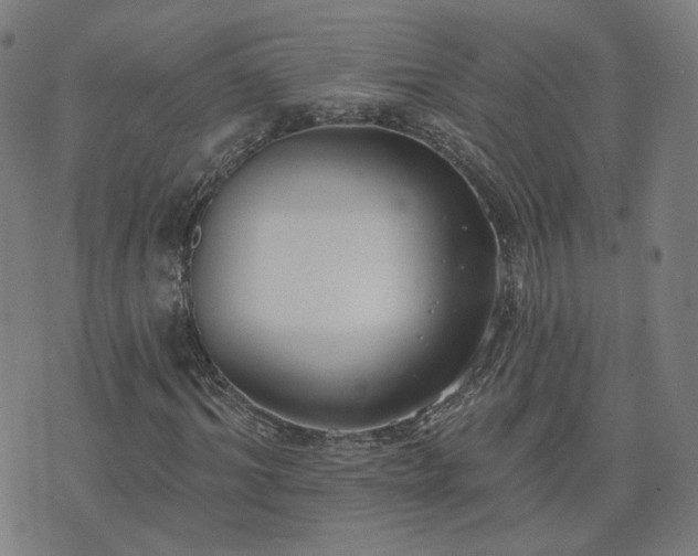 X0000072490964200607211220