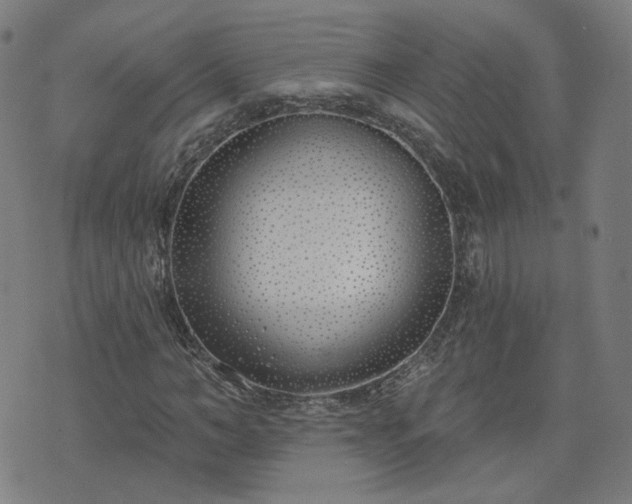 X0000072490966200607211220