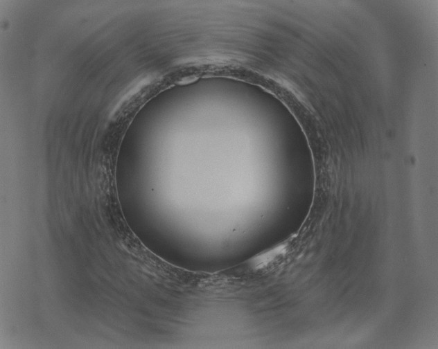 X0000072490967200607211220