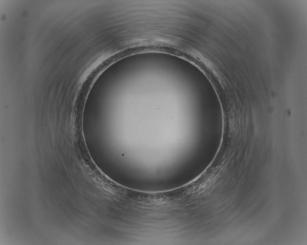 X0000072490975200607211220