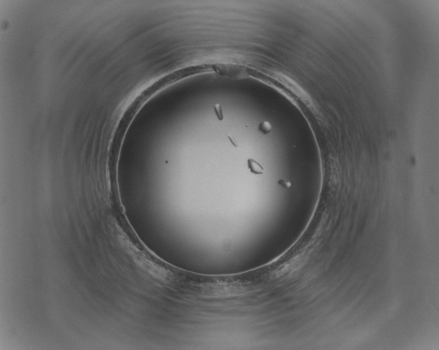 X0000072490980200607211220