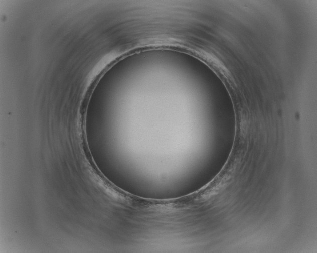 X0000072490990200607211219