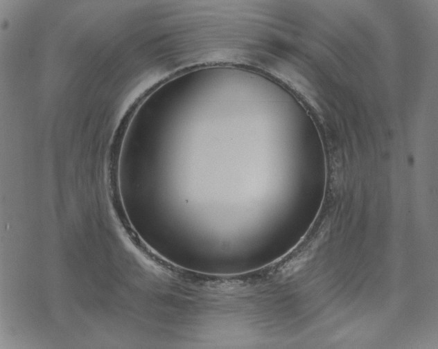 X0000072490991200607211219