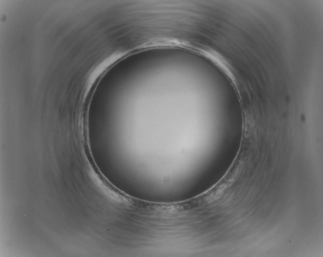X0000072491003200607211219