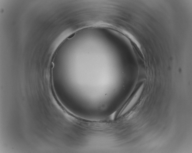 X0000072491007200607211219