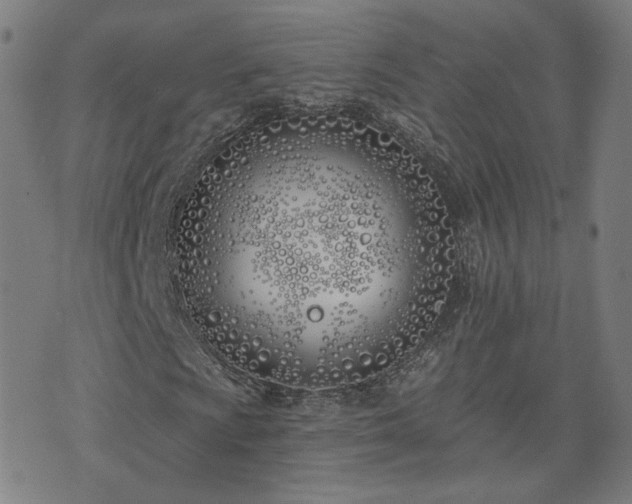 X0000072491009200607211218