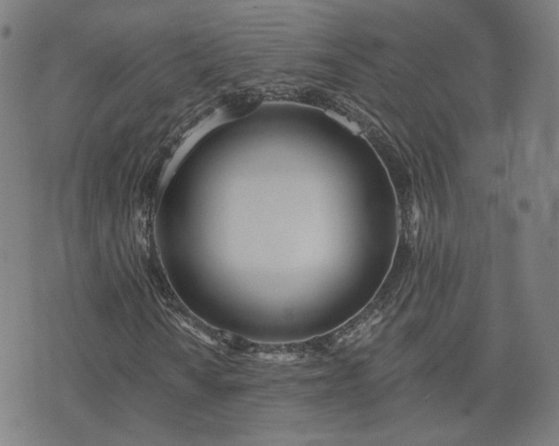 X0000072491010200607211218
