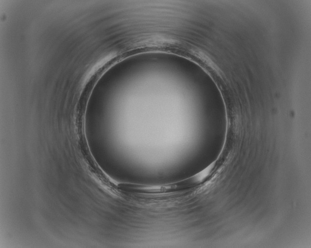X0000072491026200607211219