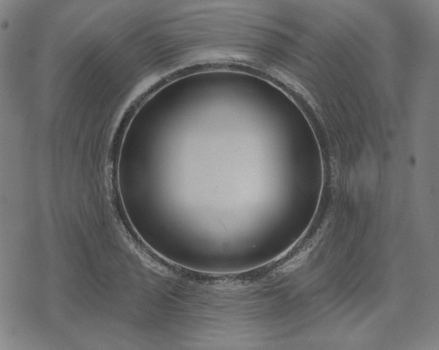 X0000072491029200607211219