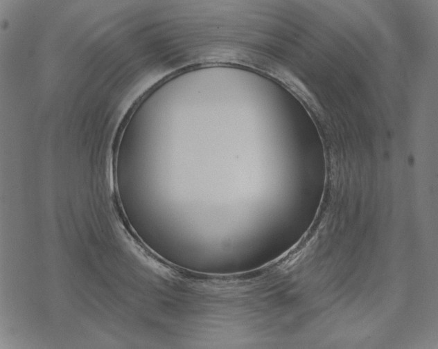 X0000072491036200607211219
