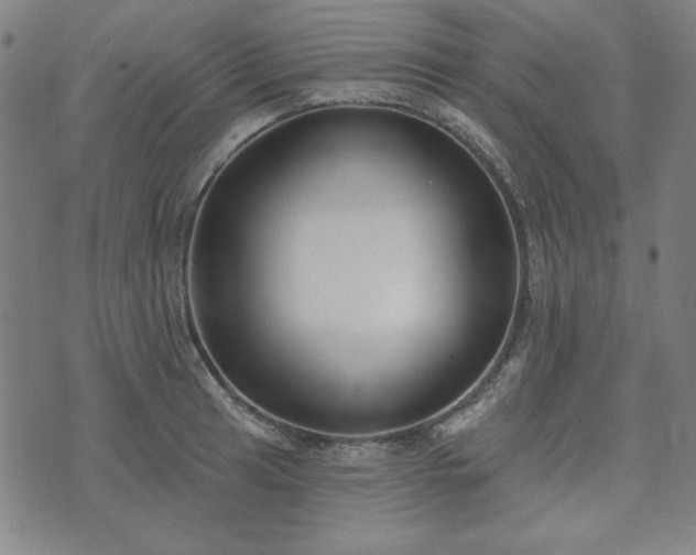 X0000072491041200607211219