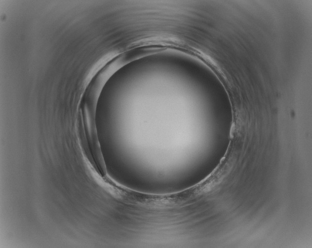 X0000072491042200607211219