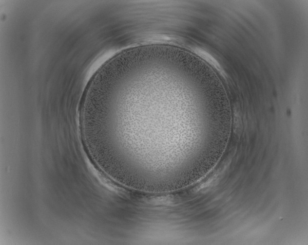 X0000072491047200607211219