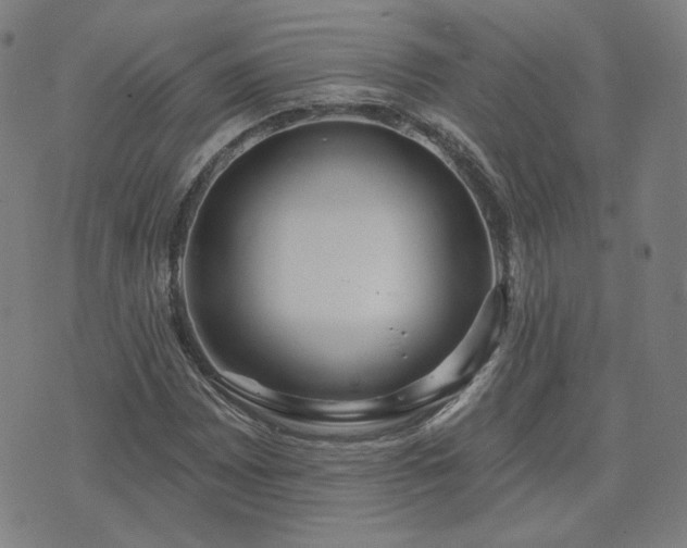 X0000072491065200607211218