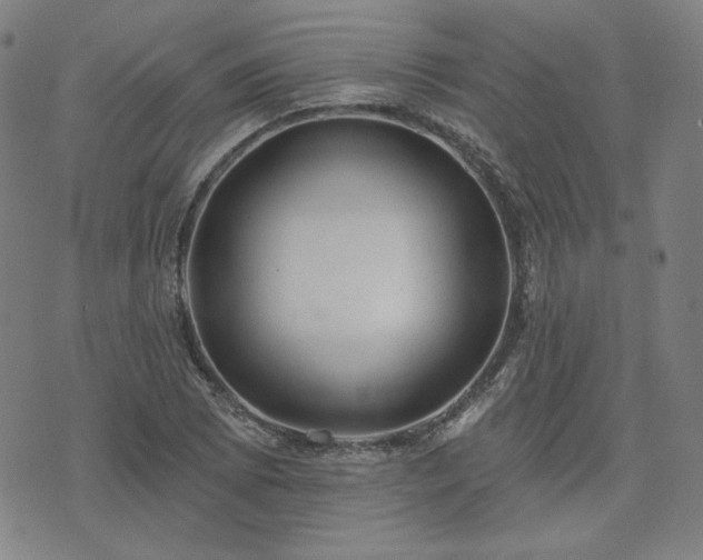 X0000072491073200607211218