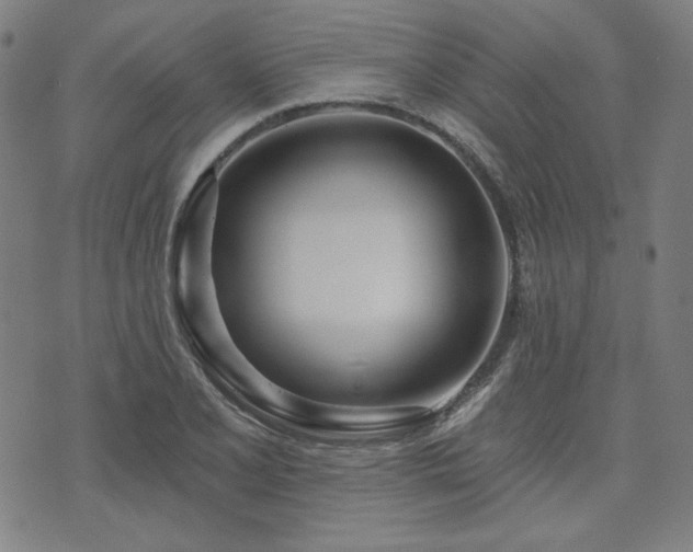 X0000072491077200607211218